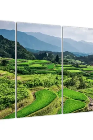 Autentyczny Schilderij - Rijstvelden