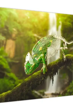 Bezpieczna płatność Schilderij - Kameleon