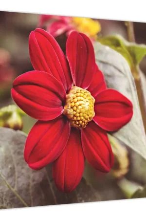 Oferta limitowana Schilderij - Bloem