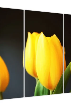 Szybka dostawa Schilderij - Tulpen