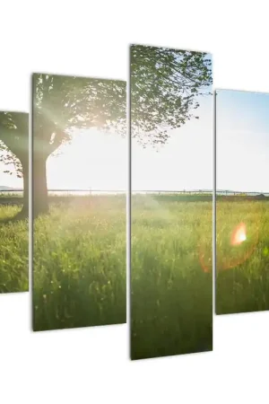 Tylko dziś Schilderij - Weiland in de zomer