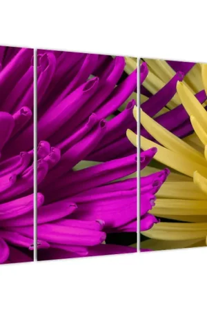 Schilderij - Bloesems, detail Premium