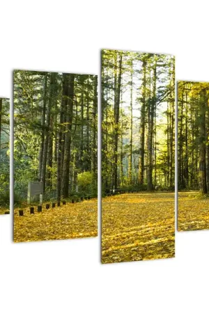 Schilderij - Herfstbos Zwrot pieniędzy