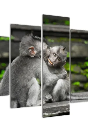 Schilderij - Aapjes Niska cena