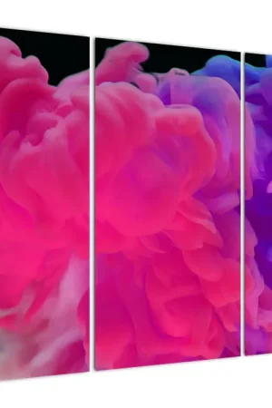 Darmowa dostawa Schilderij - Gekleurde rook