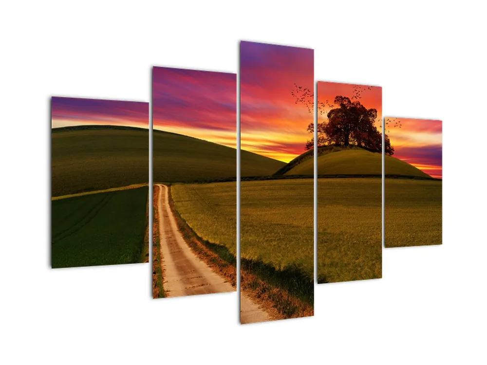 Schilderij - Veld en kleurrijke hemel Nowość