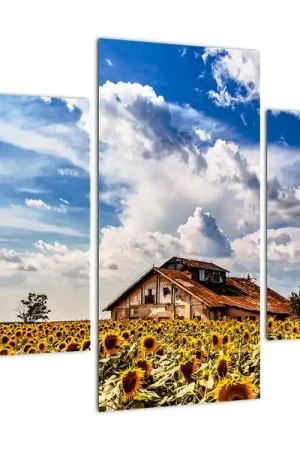 Schilderij - Zonnebloemenveld Szybka dostawa