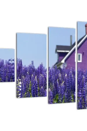 Rabat Schilderij - Lavendelveld