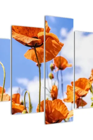 Schilderij - Klaprozen Popularny