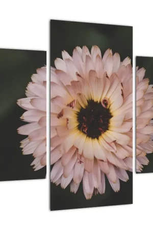 Tani Schilderij - Oranje bloem