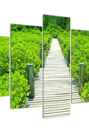 Schilderij - Houten voetpad Wysoka jakość