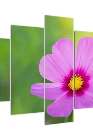 Schilderij - Weidebloem Szybka dostawa