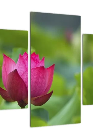 Schilderij - Waterplant Zamów teraz