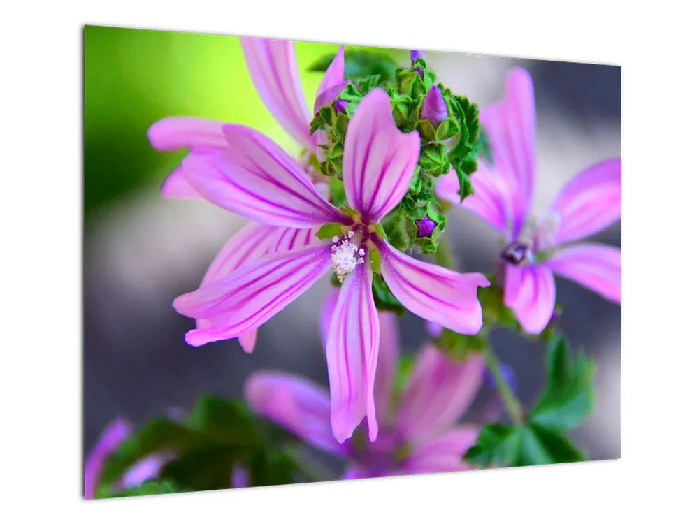 Popularny Schilderij - Bloem, detail