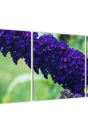 Najlepsza cena Schilderij - Blauwe bloem