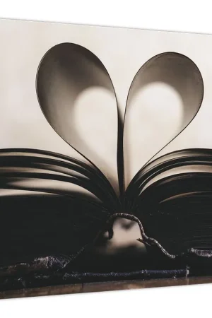 Popularny Schilderij - Boek