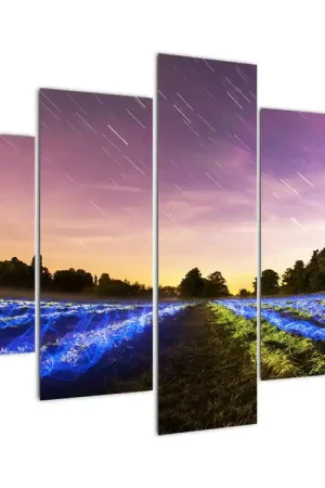 Schilderij - Kleurrijk veld Promocja