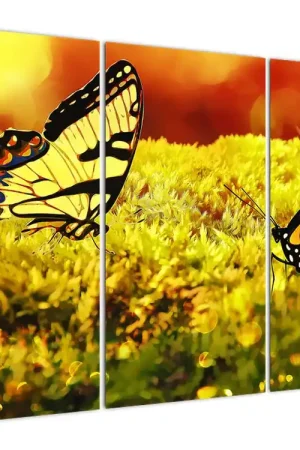 Ekspresowa dostawa Schilderij - Vlinders