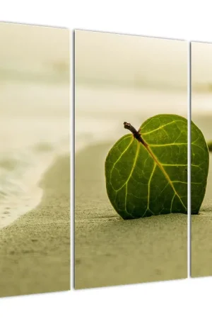 Autentyczny Schilderij - Blad op zand