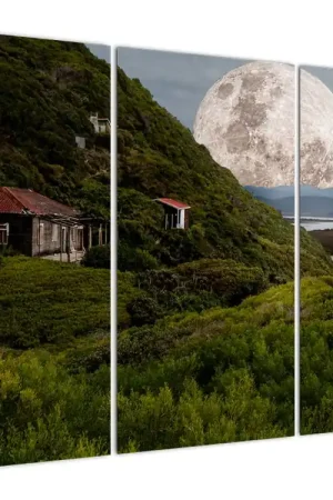 Premium Schilderij - Landschap met maan