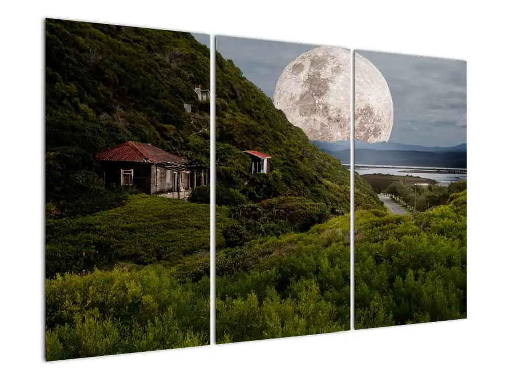 Premium Schilderij - Landschap met maan