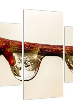 Niska cena Schilderij - Druppel aan tak