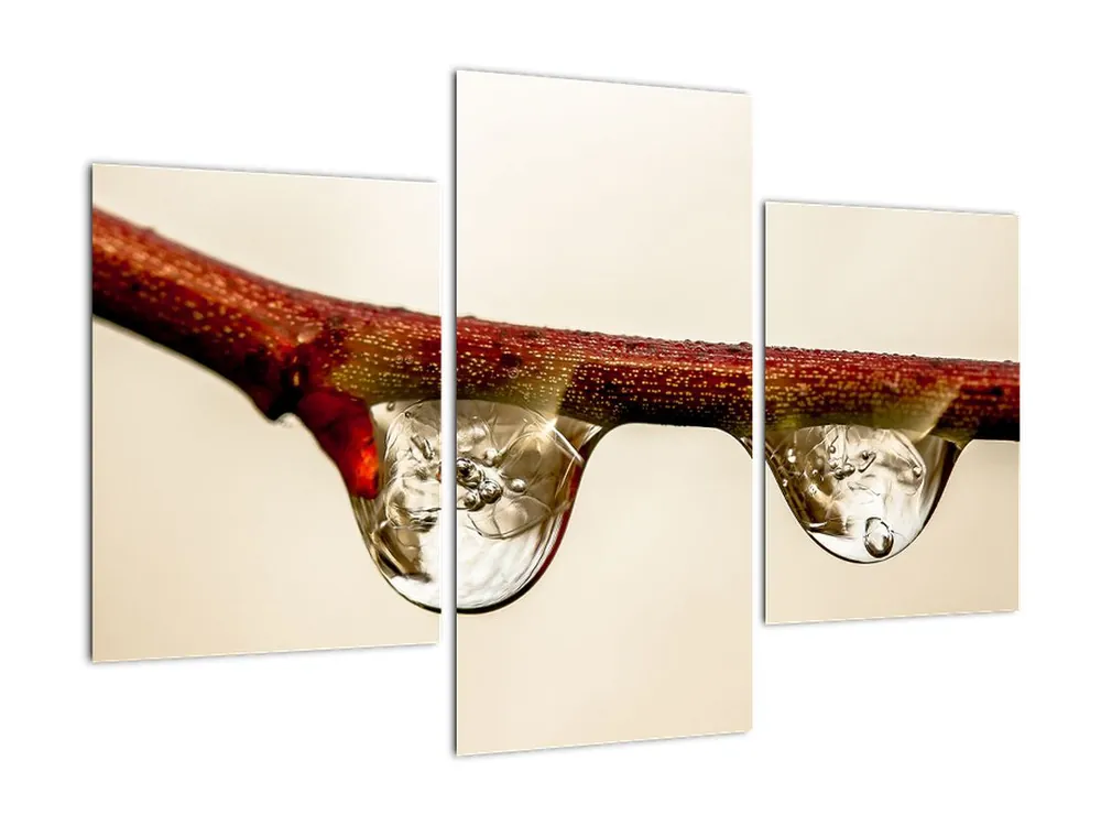 Niska cena Schilderij - Druppel aan tak