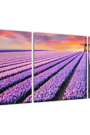 Schilderij - Bloemenboerderij Premium