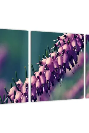 Schilderij - Lavendel Kup teraz