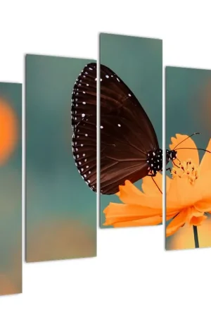 Bezpieczna płatność Schilderij - Vlinder op oranje bloem