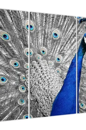 Schilderij - Blauwe pauw Tani