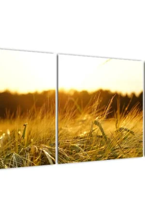 Zwrot pieniędzy Schilderij - Bedauwd gras