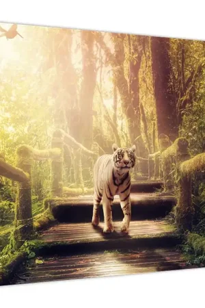Schilderij - Tijger Darmowa dostawa