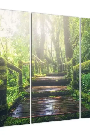 Zamów teraz Schilderij - Houten trap in het bos