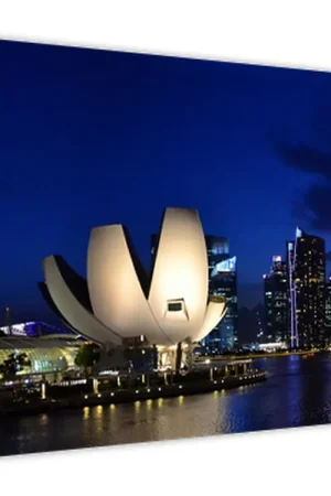 Tylko dziś Schilderij - Singapore bij nacht