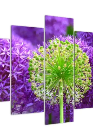 Schilderij - Bloesem Rabat