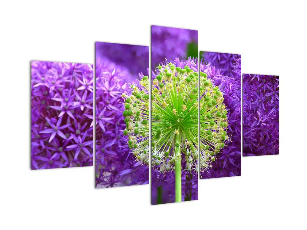 Schilderij - Bloesem Rabat