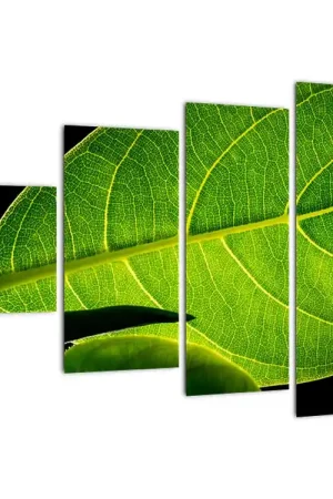 Popularny Schilderij - Groen blad