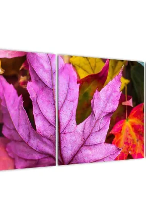 Schilderij - Herfstbladeren Szybka dostawa