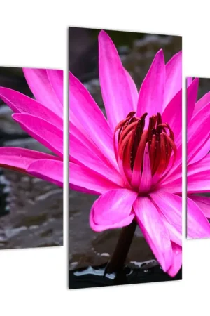 Schilderij - Roze bloesem Bezpieczna płatność