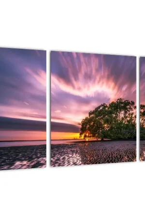 Schilderij - Strand en boom Oferta limitowana