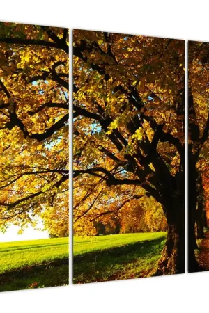 Autentyczny Schilderij - Herfst