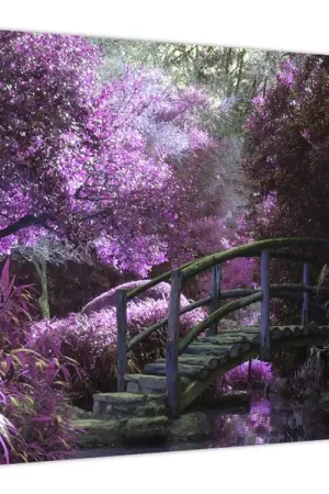 Schilderij - Paarse bomen Oryginalny