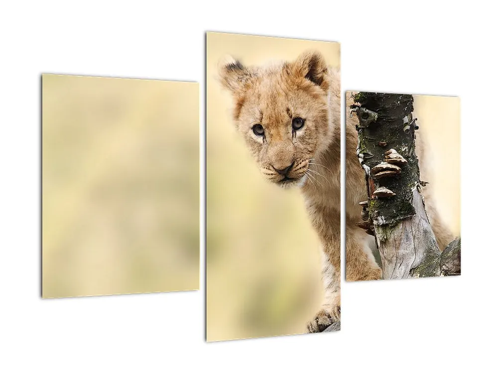 Oferta Schilderij - Leeuwtje