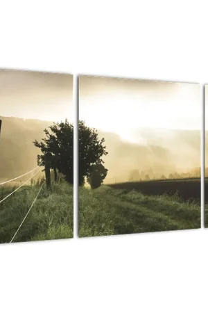 Schilderij - Weiland Zwrot pieniędzy