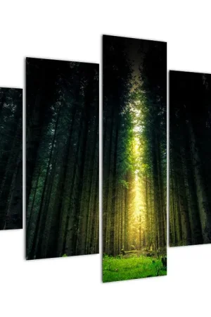 Oferta Schilderij - Donker bos