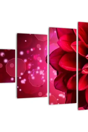 Schilderij - Rode bloem Premium