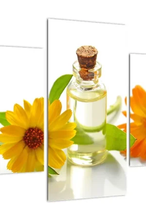 Zwrot pieniędzy Schilderij - Goudsbloemolie