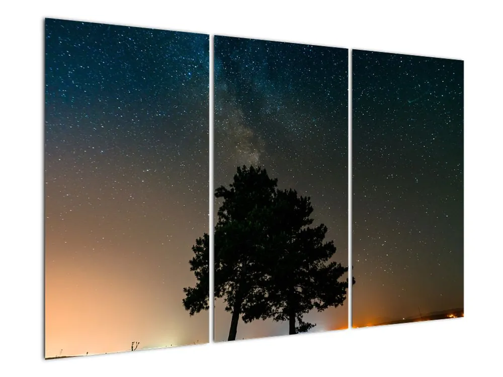 Promocja Schilderij - Nachthemel met bomen