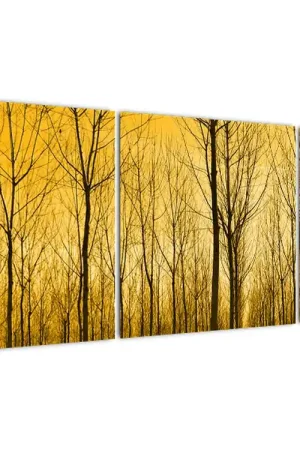 Tani Schilderij - Bos bij zonsondergang